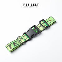 Dog Collar Harness Leash Fashion Pet