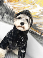 Luxury Designer Pet Dog Clothes Down Jacket