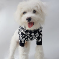 Fashion Brand Dog pet Sweater Autumn Winter