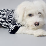 Fashion Brand Dog pet Sweater Autumn Winter