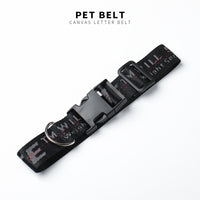 Dog Collar Harness Leash Fashion Pet