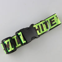 Dog Collar Harness Leash Fashion Pet