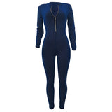 Mesh sheer Bodycon Jumpsuit Long Sleeve Zip Up bodysuit