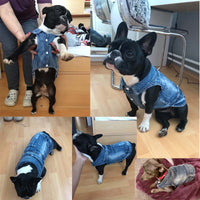 pet Dog Vest Denim Dog Clothes Jacket
