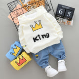 Infant Clothing For Newborn Baby Boys Clothes Hoodie+Pant outfit