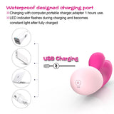 USB dildo Multi-Frequency Vibrating Adult sex toy