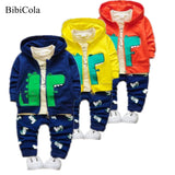 Infant Clothing For Newborn Baby Boys Clothes Hoodie+Pant outfit