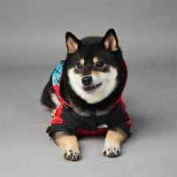 pet Designer Dog Clothes Waterproof Raincoat