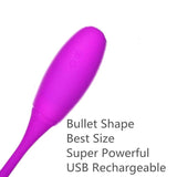 Rechargeable Dual Vibrator 7 Speeds Double Head Egg Bullet Dildo Vibrator sex toy