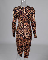 Leopard Print Long Sleeve Bodycon Dress