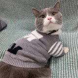 pet sweater