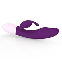 USB dildo Multi-Frequency Vibrating Adult sex toy