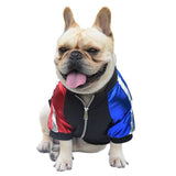 Luxury design Pet Dog Trench dogs Clothes