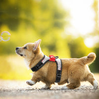 Reflective Dog pet Harness Nylon