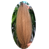 Kinky Marley Braiding Hair Springy Afro Twist Crochet Hair Bulk Extensions Faux Locs Marley Braid