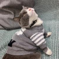 pet sweater