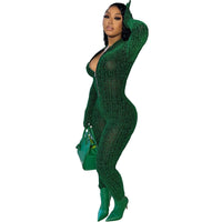 Mesh sheer Bodycon Jumpsuit Long Sleeve Zip Up bodysuit