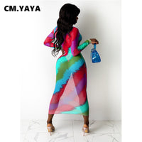 Long Dress Print Mesh See-through Full Sleeve O-neck Bodycon Maxi Dress