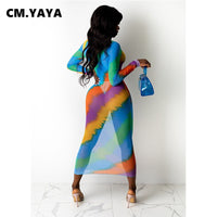 Long Dress Print Mesh See-through Full Sleeve O-neck Bodycon Maxi Dress