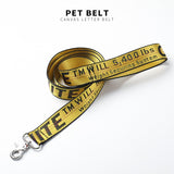 Dog Collar Harness Leash Fashion Pet