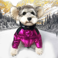 Luxury Designer Pet Dog Clothes Down Jacket