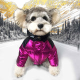 Luxury Designer Pet Dog Clothes Down Jacket