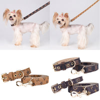 designer Pet Collar & Dog Leash