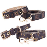 designer Pet Collar & Dog Leash