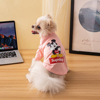 Cotton Pet Tee Clothing