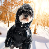 Luxury Designer Pet Dog Clothes Down Jacket