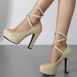 Elegant High Heels Women Pumps Shoe 11+