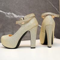 Elegant High Heels Women Pumps Shoe 11+