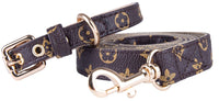 designer Pet Collar & Dog Leash