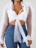 Mesh Sheer See Through Ruffles Long Sleeve Crop Tops Deep V-neck shirt