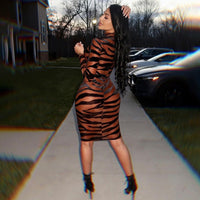 Zebra Stripes Print Long Sleeve Casual Dress
