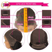 Brazilian Remy Human Hair Wig with Pre Plucked Hairline Highlight Color Body Wave 13x6 Lace Front Wigs