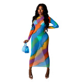 Long Dress Print Mesh See-through Full Sleeve O-neck Bodycon Maxi Dress