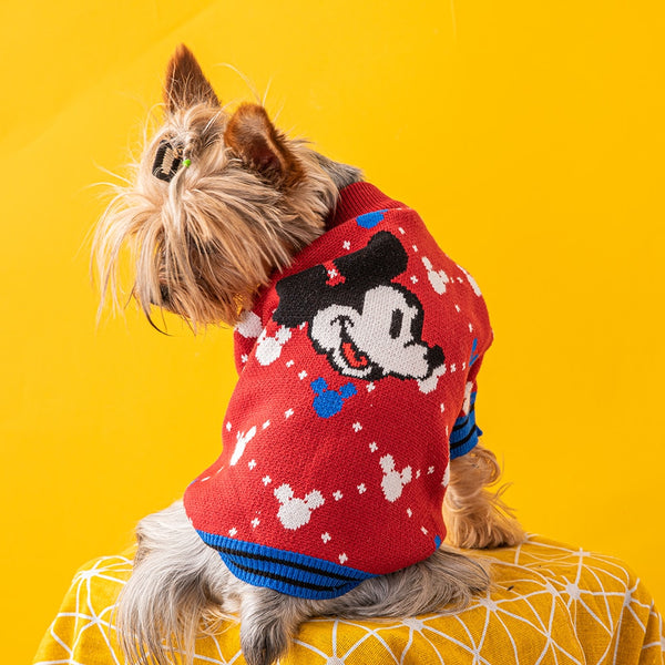 Winter pet Sweater Thickened Warm Outdoor