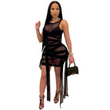 Mesh See Through Dress Elastic bodycon  plus size avail - Divine Diva Beauty