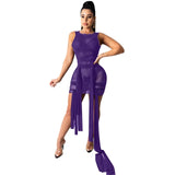 Mesh See Through Dress Elastic bodycon  plus size avail - Divine Diva Beauty