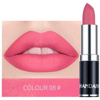 12 Colors Matte Long-lasting Makeup Red Lips Matte Waterproof Matte Lipstick Lip Stick Cosmetics - Divine Diva Beauty