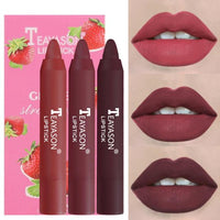 3pcs Matte Velvet Lipstick Set Delicate Smooth Waterproof  Non-stick Cup No Fading Air Lipstick Lasting Lip Makeup - Divine Diva Beauty