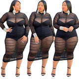 Long Sleeve Dress with Bodysuit Lining Sexy Mesh Bodycon Dress plus size avail - Divine Diva Beauty