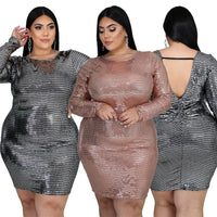 Round Collar Long Sleeve Sequin Dress plus size avail - Divine Diva Beauty