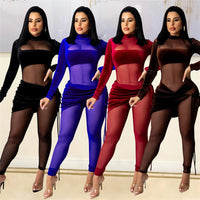 Sheer Mesh Patchwork Velvet Jumpsuit bodysuit plus size avail - Divine Diva Beauty