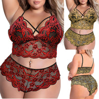 Women Sexy Lingerie Set Hollow Out Lace Perspective Bra Briefs Underwear Set Sensual plus size avail - Divine Diva Beauty
