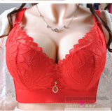 Plus Size Lingeire bra  Sexy Lace Underwire Thin Cup - Divine Diva Beauty