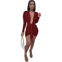 Deep V Neck Long Sleeve Bodycon Mini Dress - Divine Diva Beauty