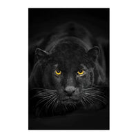 Black Leopard Picture Print Animal Canvas Painting Panther Wall Art Posters - Divine Diva Beauty