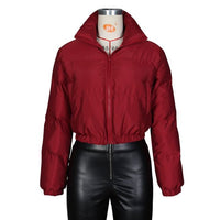 Cropped Puffer Jacket  outerwear plus size avail - Divine Diva Beauty